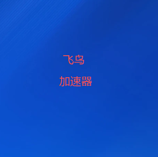 飞鸟加速器 - 专业VPN加速器，安全稳定的网络梯子-飞鸟VPN