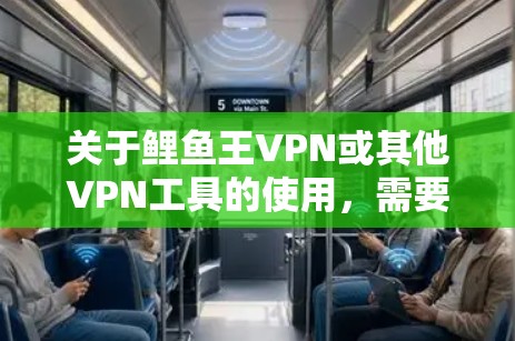 关于鲤鱼王VPN或其他VPN工具的使用,需要注意以下几点